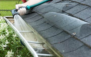 Ringtail Green gutter cleaning costs